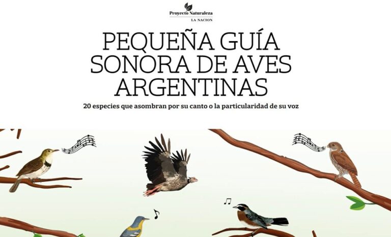 Guía sonora de Aves Argentinas - La Nación