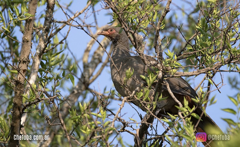 Reserva Los Quebrachitos, Unquillo, Córdoba