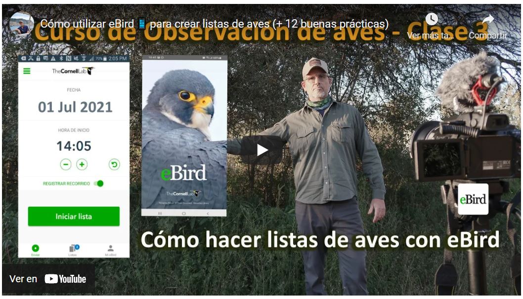 Cómo usar ebird para crear listas de observación de aves