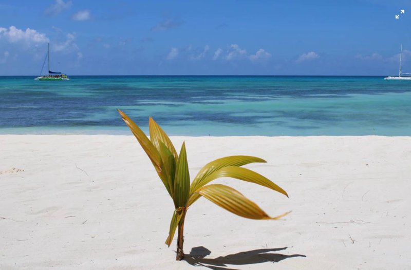 Isla Saona en Punta Cana