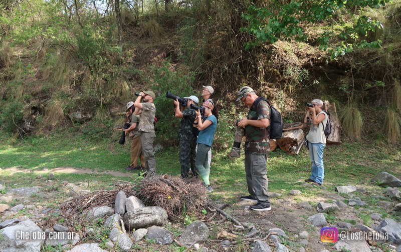 Observadores de aves en Córdoba