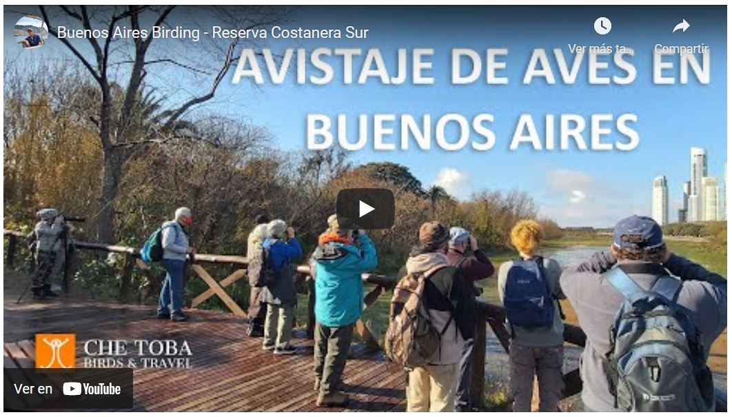 Buenos Aires Birding Video