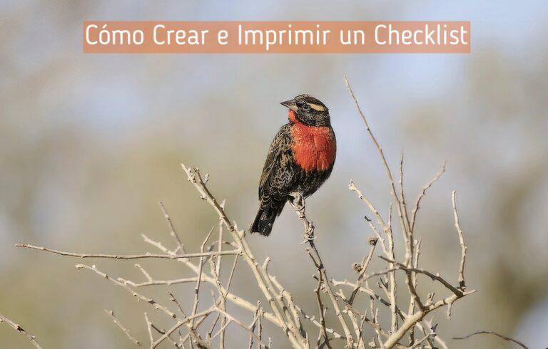Qué es un checklist de aves y cómo crear uno gratis