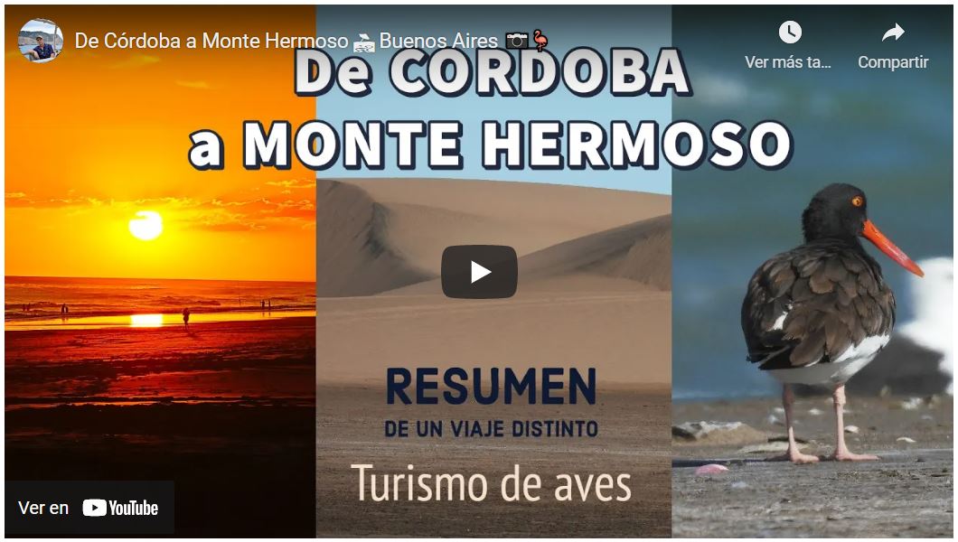 Video de Monte Hermoso