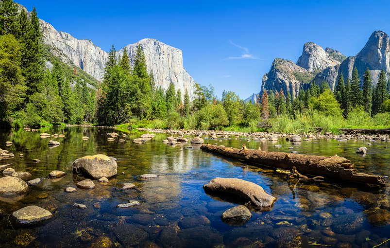 Recorrer los Parques Naturales más emblemáticos de USA