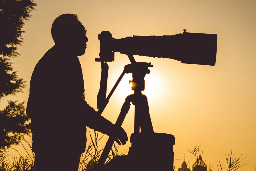 consejos para realizar fotografía de naturaleza con teleobjetivos