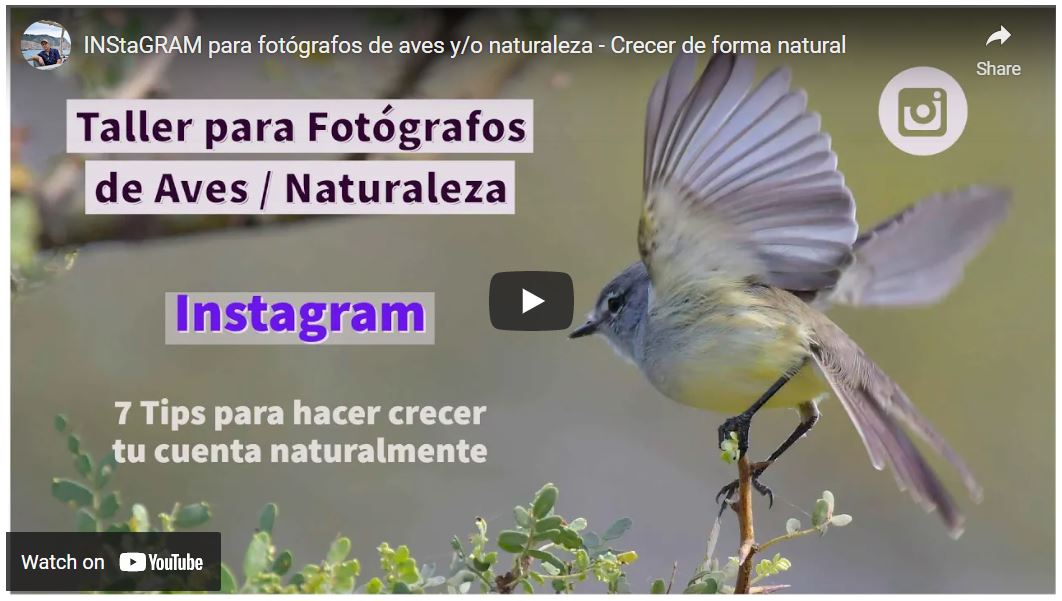 Instagram para fotógrafos de naturaleza