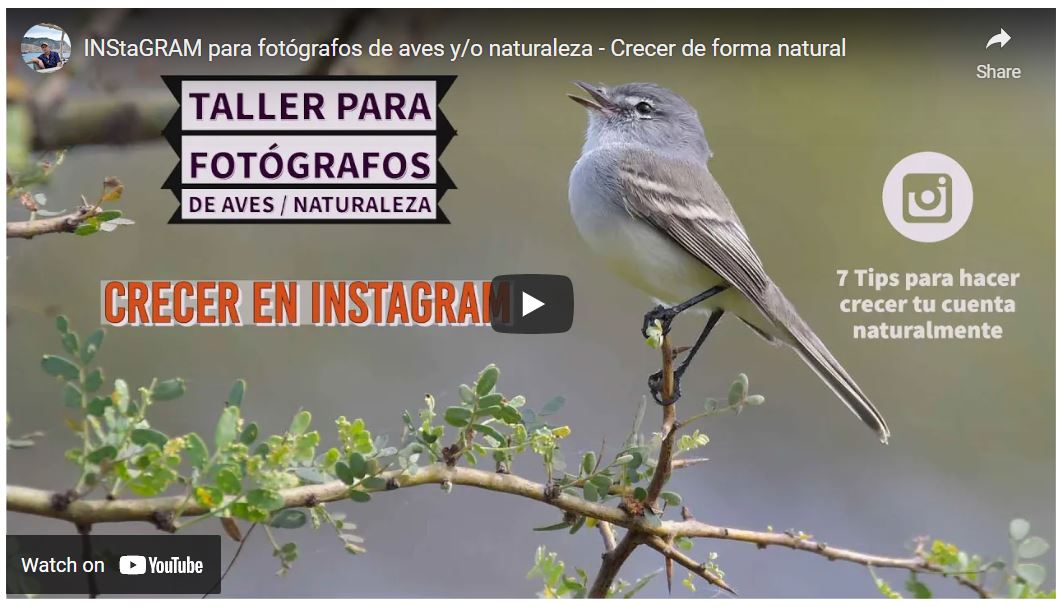 tips para crecer en Instagram para fotógrafos de naturaleza