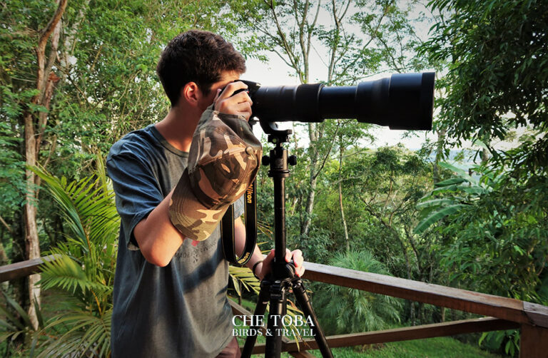Taller de Fotografía y observación de aves - Clase 10 de 10