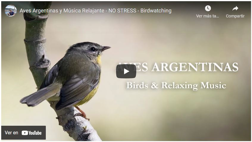 Aves Argentinas Video