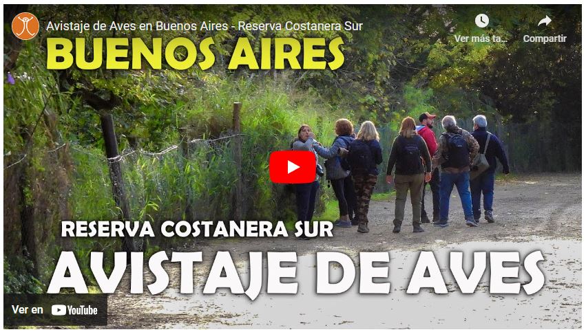 Video Observación de Aves Reserva Costanera Sur Buenos Aires