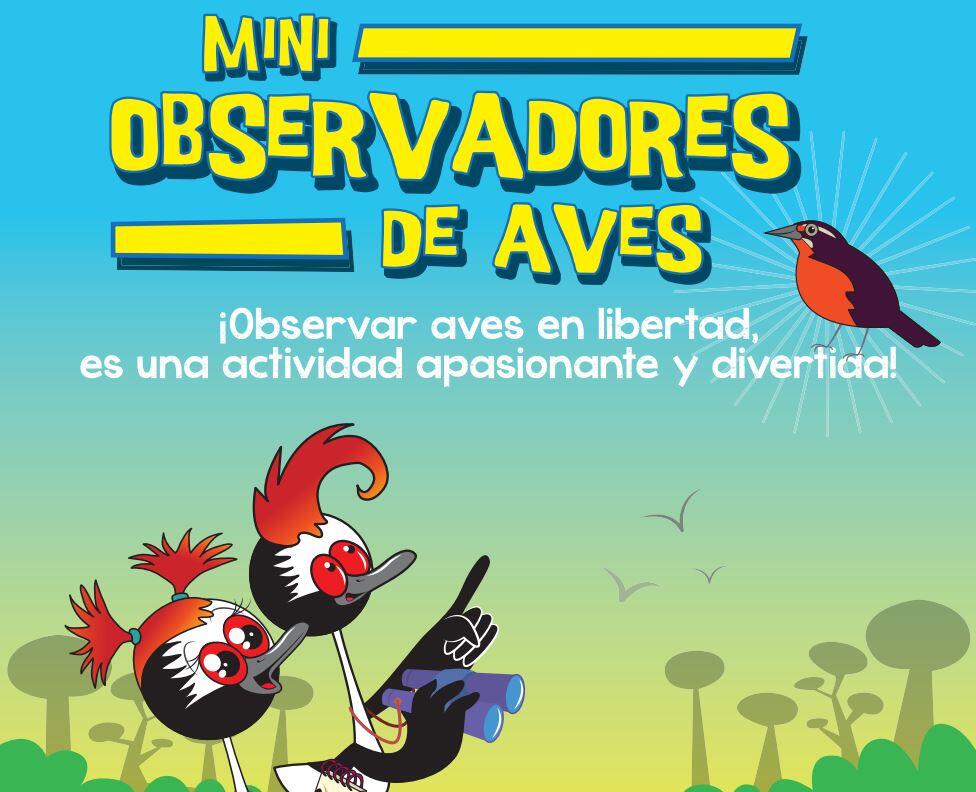 lectura para niños sobre avistaje de aves