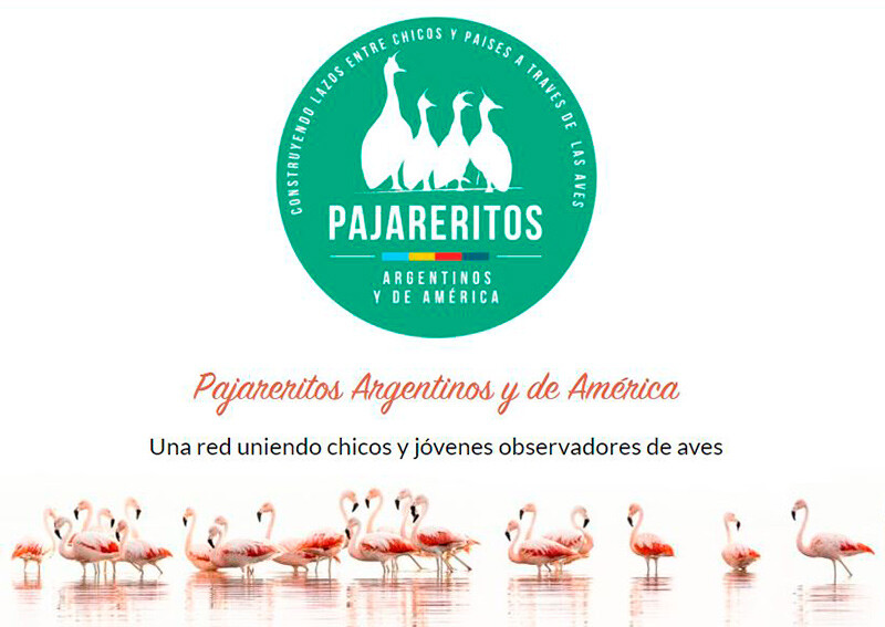 agrupación infantil observadores de aves de argentina y américa
