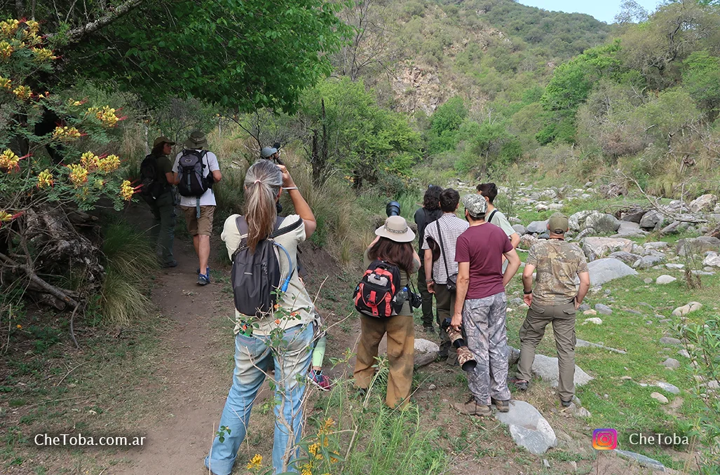 Turismo de observación de aves