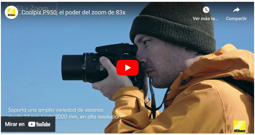 Nikon P950 para observadores de aves