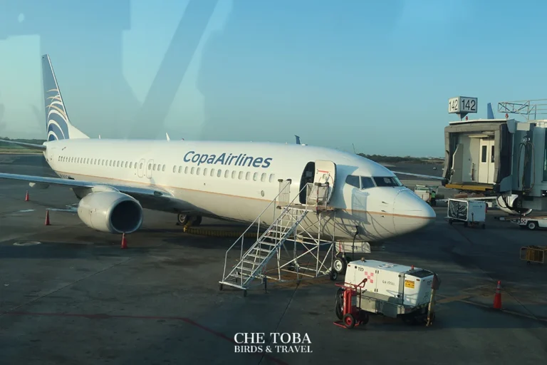 Vuelo de Córdoba a Panamá, Copa Airlines