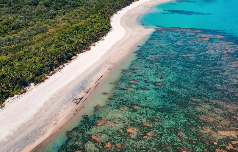 importancia de los arrecifes de coral