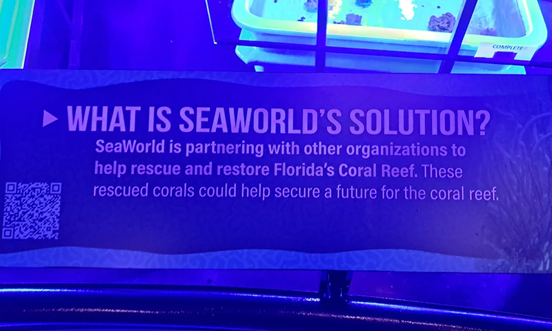 rehabilitacion de corales, solución para la restauración marina de corales
