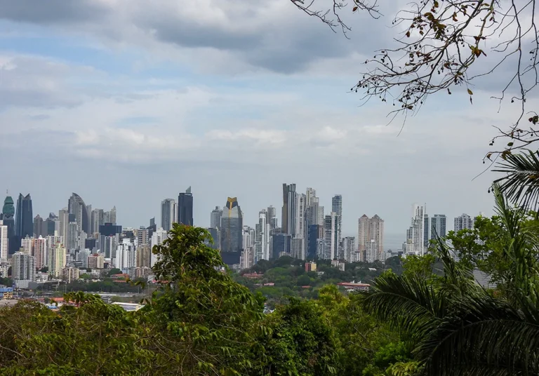 Aventura en la ciudad: Parque Natural Metropolitano de Panamá