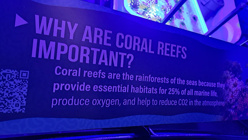 cual es la importancia de los arrecifes de coral en el mar