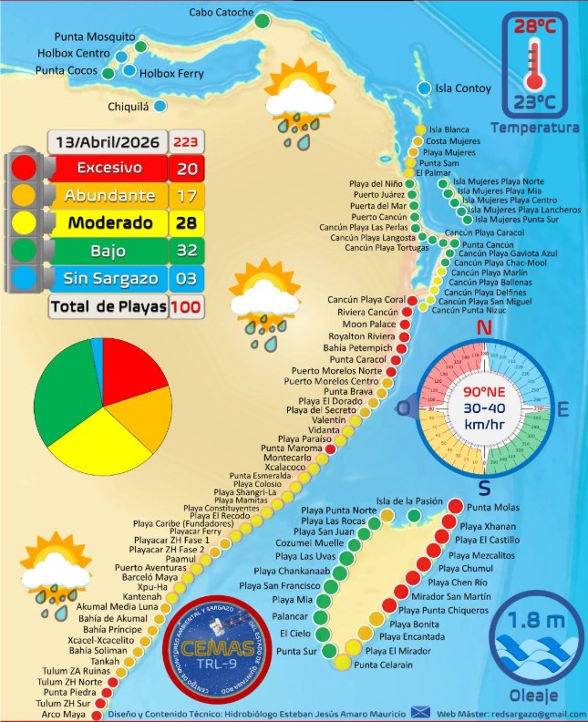 Mapa sargazo actual Playas de Riviera Maya