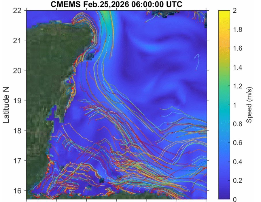 Sargazo fines de febrero 2026 en Riviera Maya de Tulum a Cancún, Playa del Carmen, Cozumel