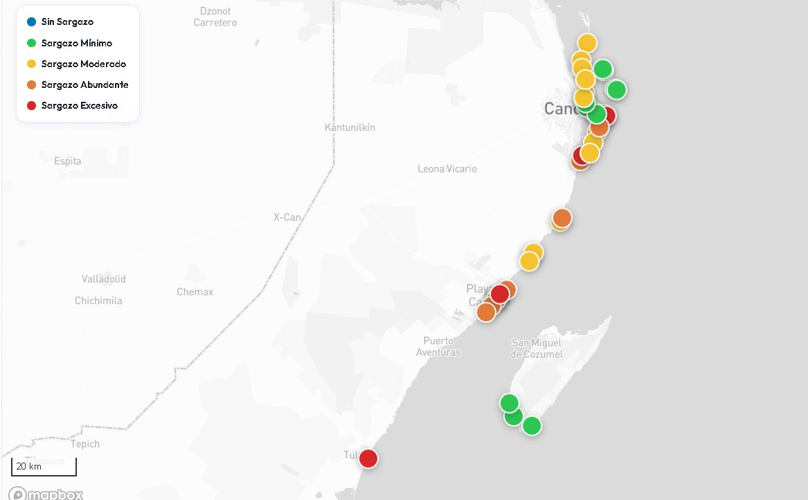 Mapa Sargazo Quintana Roo
