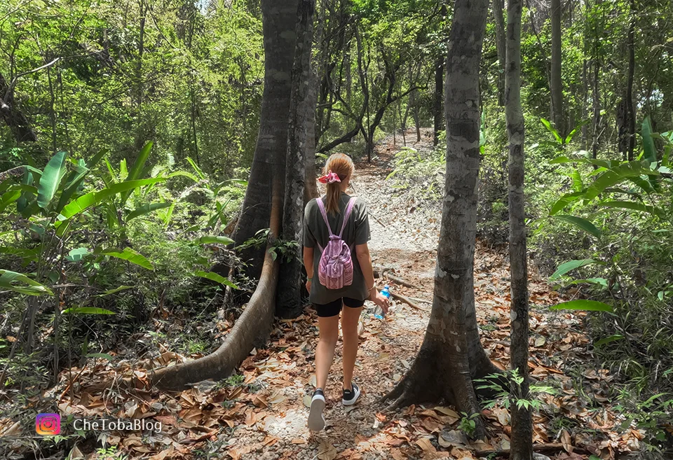 excursión imperdible en Panamá Ciudad, Parque Natural Metropolitano