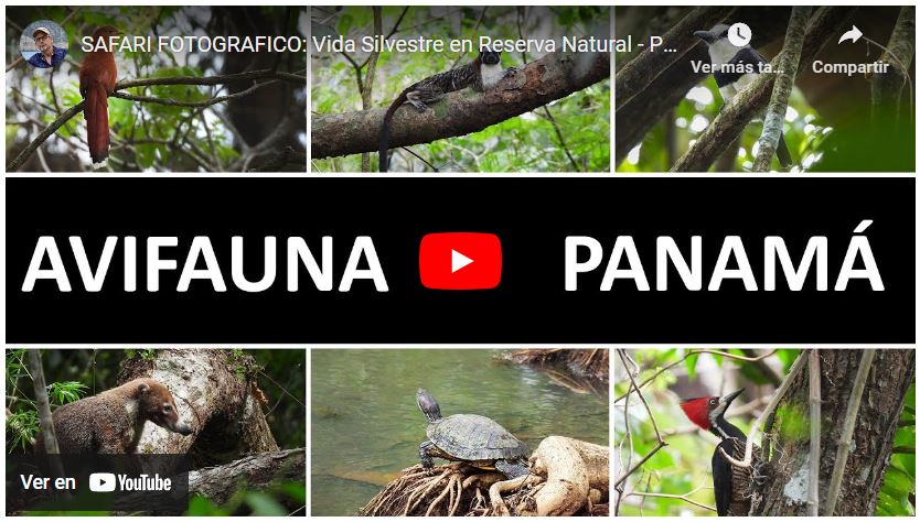 Parque Metropolitano Ciudad de Panamá VIDEO