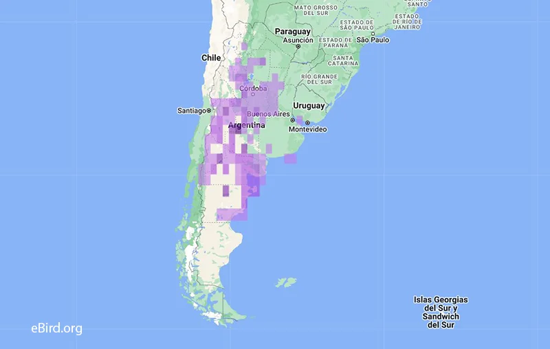 Mapa de distribución Ave Yal Carbonero en Argentina