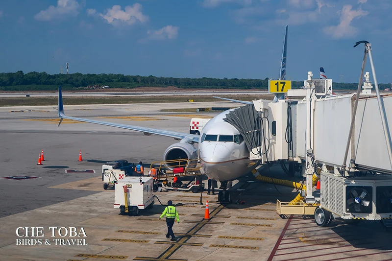 fotógrafos de aviones - Spotters