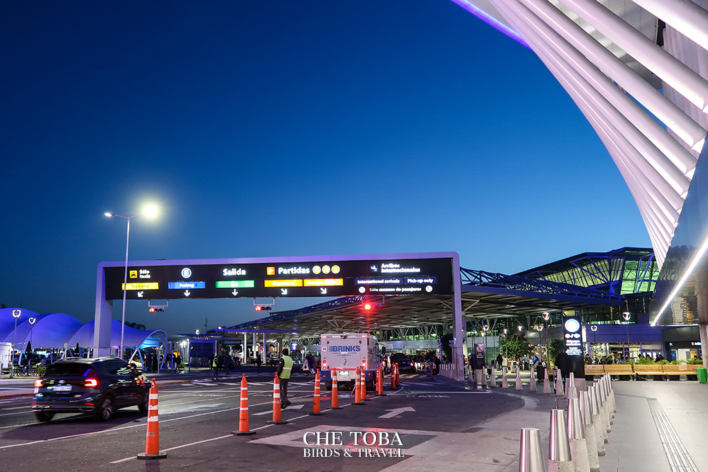 A Miami con Copa Airlines desde Ezeiza