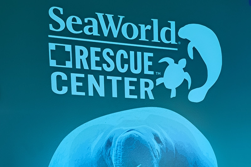 SeaWorld Centro de Rescate de animales marinos