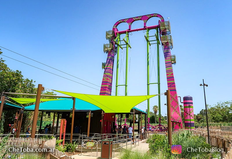 Serengueti Flyer, el columpio más alto del mundo en Busch Gardens Tampa