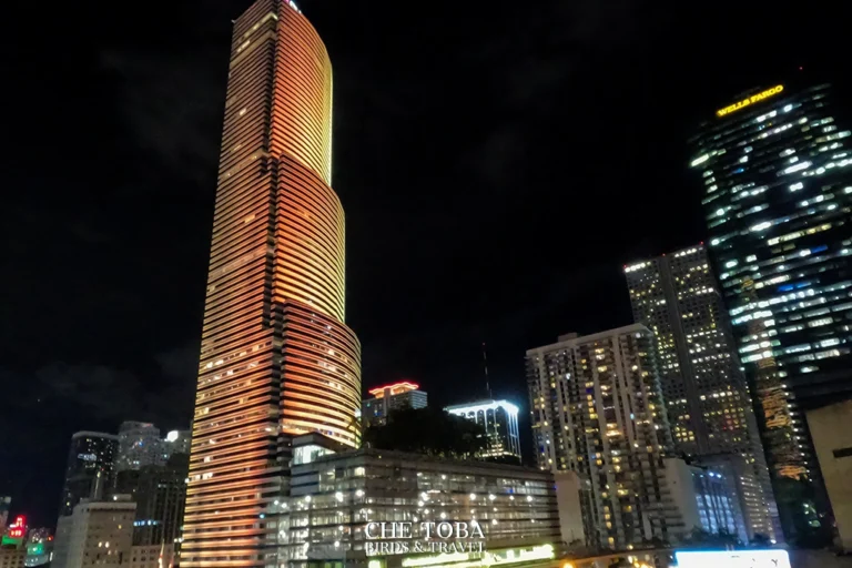 Skyline nocturno Miami Brickell downtown