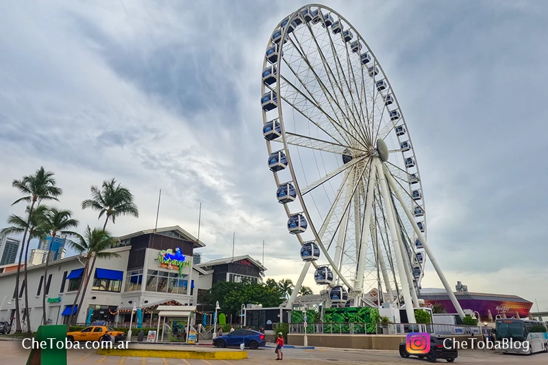 vista panorámica Miami Sky View