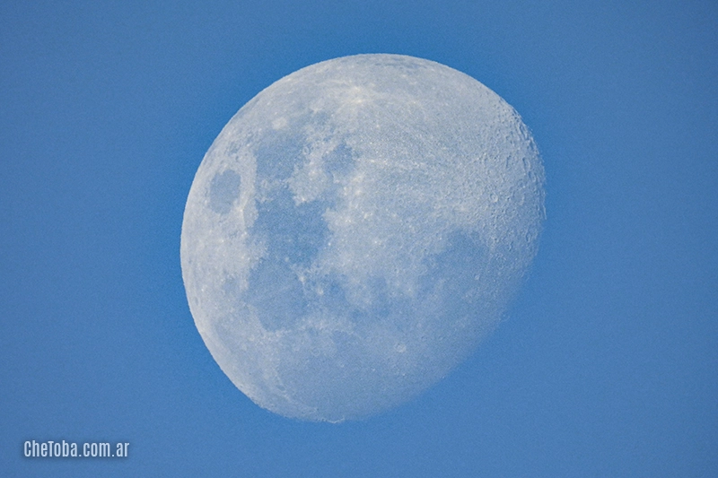 Laguna de Pueblo Nuevo alcanza 139 especies de aves registradas.