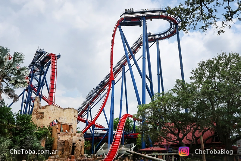 Busch Gardens Tampa: Experiencia Animal en Florida