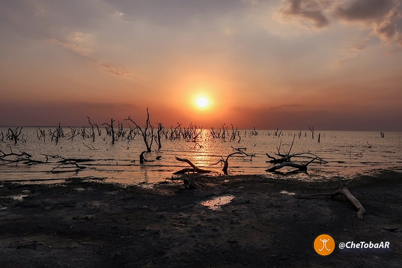 Turismo ornitológico en Córdoba, sede de la RAO 2024