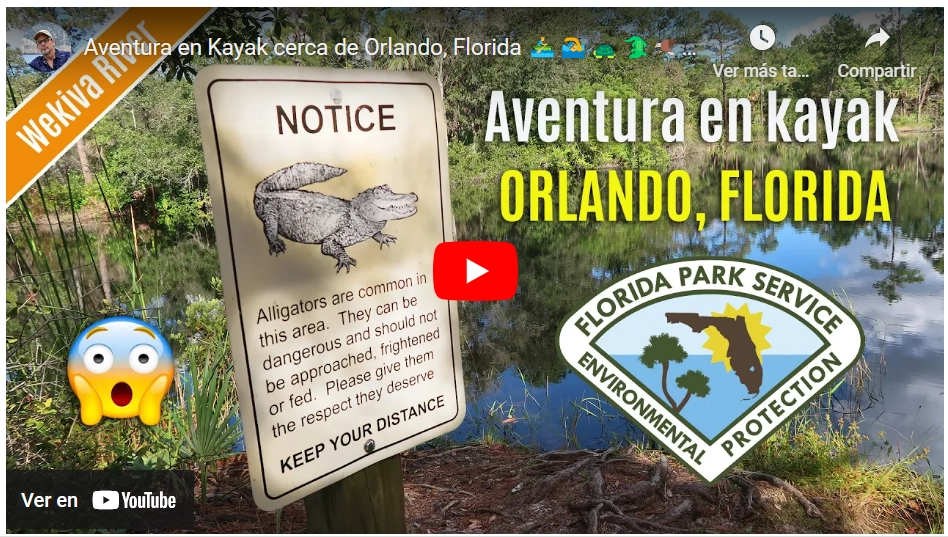 Excursión en Kayak por Wekiva River cerca de Orlando