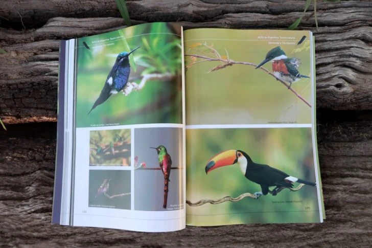 Fotos de Aves de la Argentina