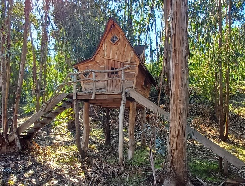 Eco aldea El Panal - Puchuncavi