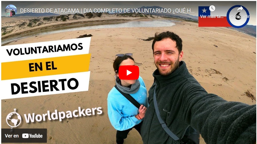 video, experiencia voluntariado en Playa de Huasco Bajo, Atacama, Chile