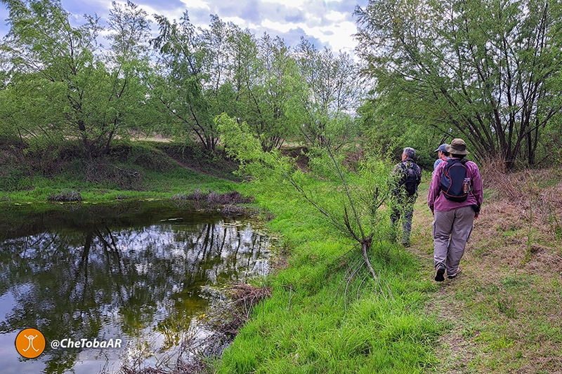 Turismo de Aves en Villa Nueva y Villa María