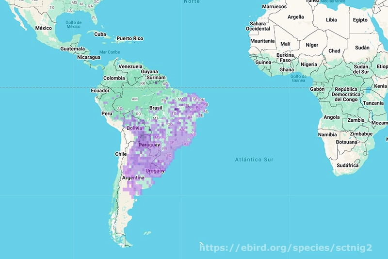 Área de distribución de Hydropsalis torquata