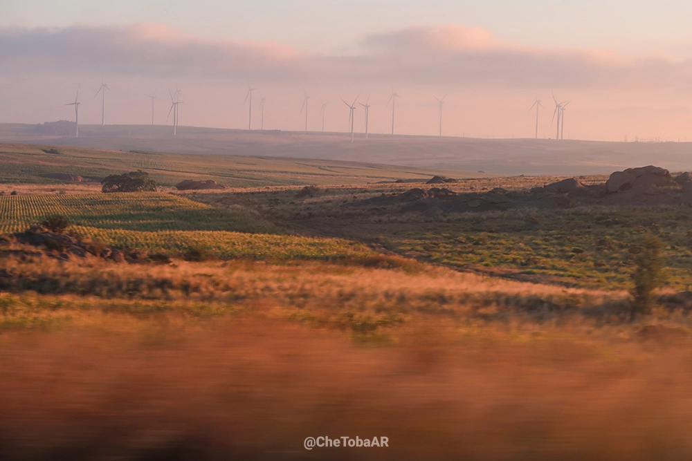Molinos de Viento en Achiras, ya casi frontera con San Luis