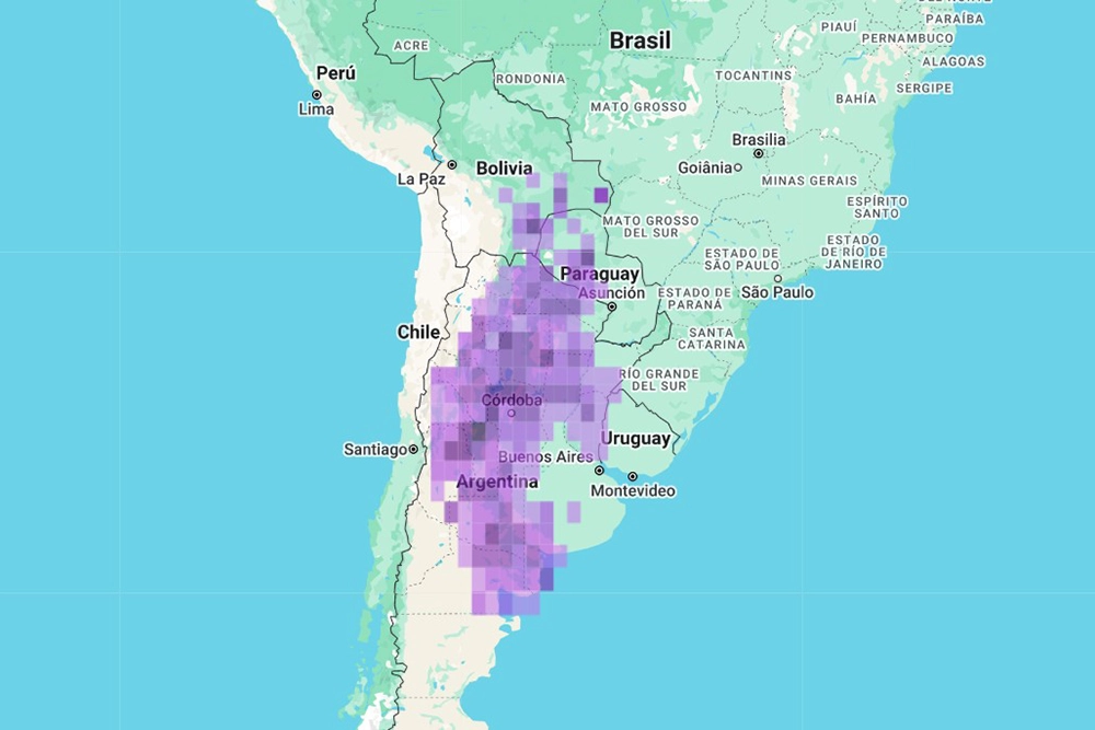 Registros en @ebird de la Bandurrita Chaqueña