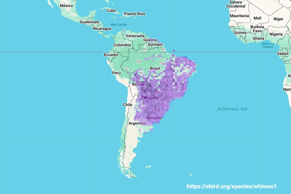 Mapa Distribución del Carpintero Blanco