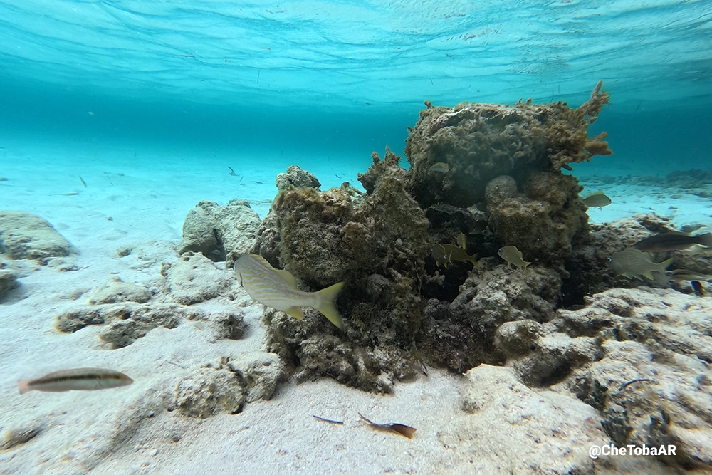 Piscina Natural de San Blas