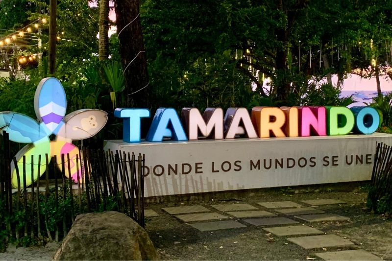 Tamarindo, donde los mundos se unen
